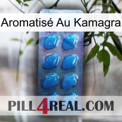 Aromatisé Au Kamagra viagra1